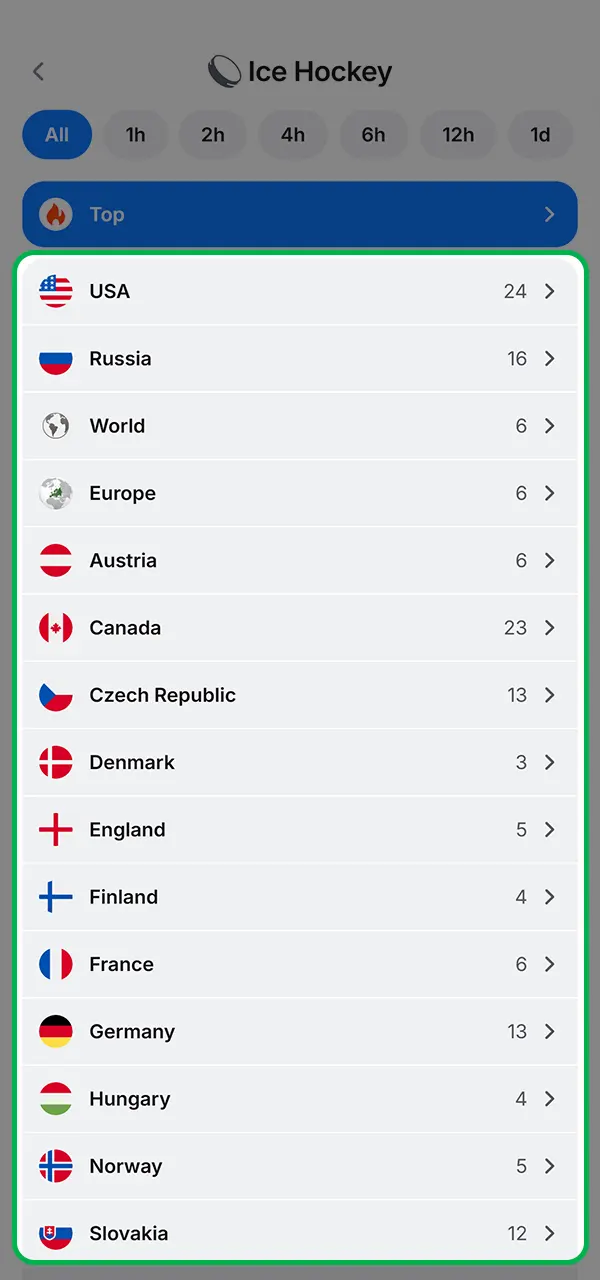 Select a league and place bets on hockey events at 1win.