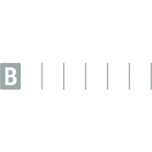 BG Gaming logo.