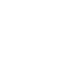 NHL logo.